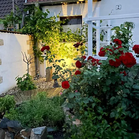 Haus Am Pool Hotel Knautkleeberg Exterior photo